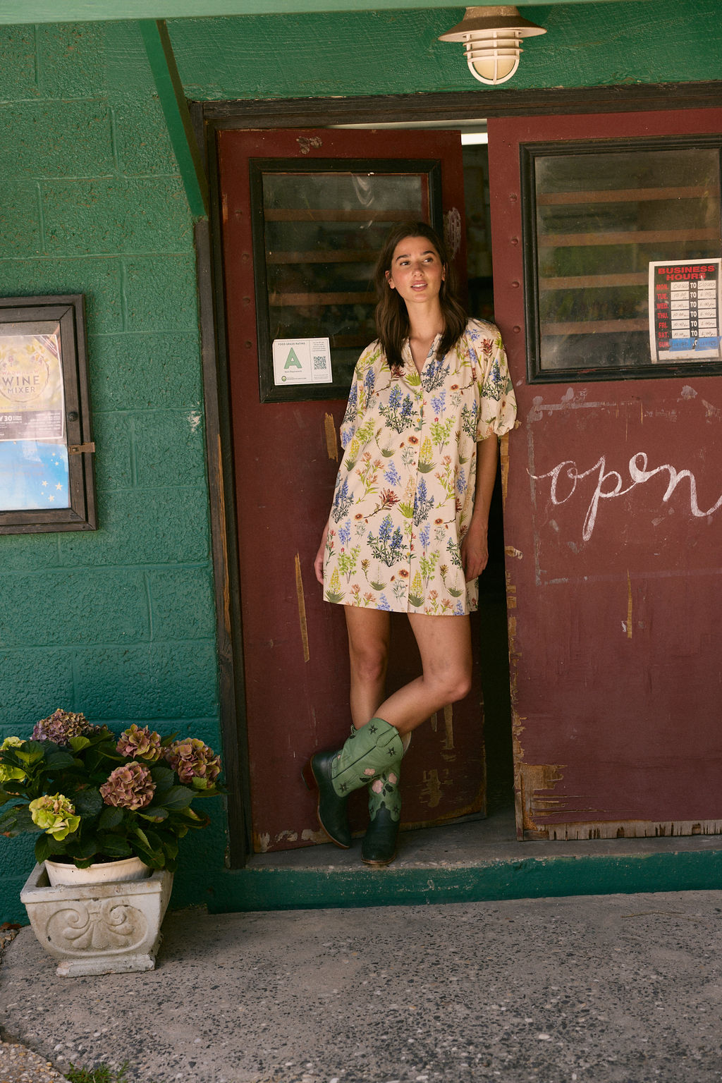 Frannie Dress, Chaparral