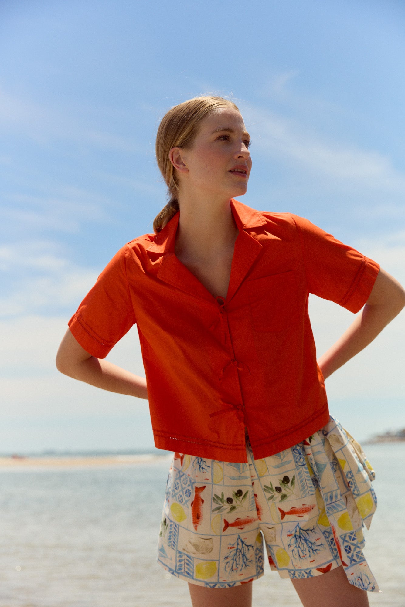 Blake Top, Vermilion